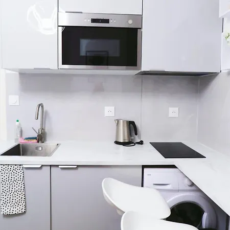 Charming Parisian At Rue Coysevox